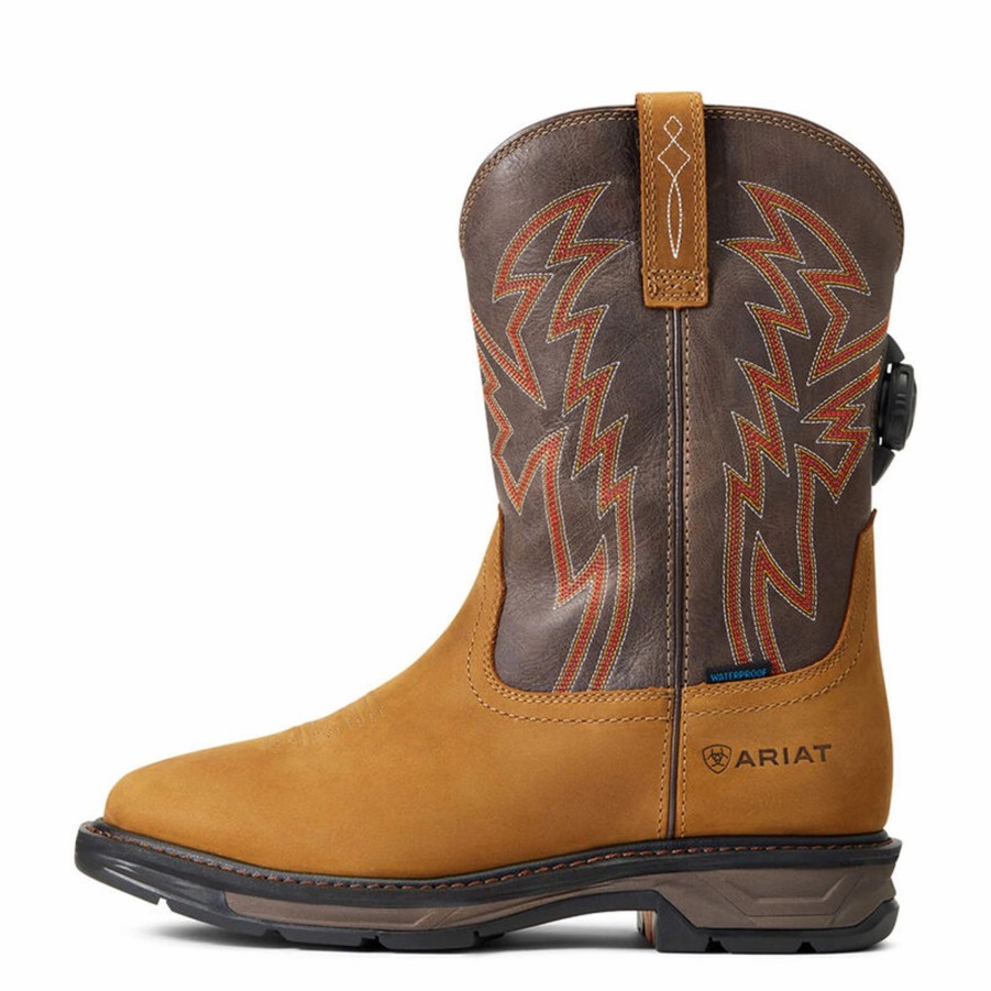 Boots & Shoes * | Ariat Men'S Workhog Xt Boa Boot