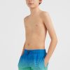 Boys * | O'Neill Cali Gradient 14" Volley Dark Blue Simple Gradient