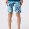 Boys * | O'Neill Hyperfreak Tech Block 17" Boardshort Sky
